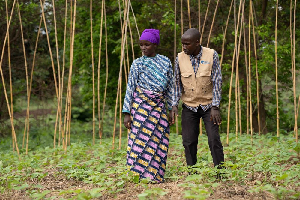 Agricultural consulting in Burundi for sustainable cultivation (Source: Christian Nusch)