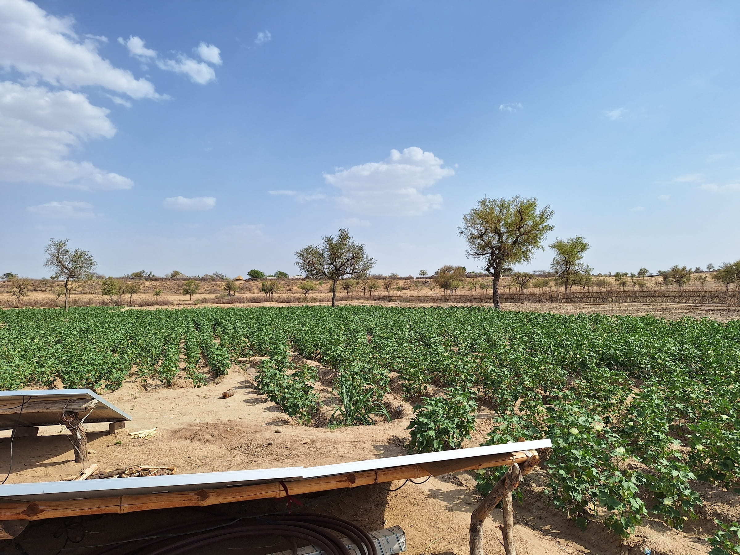 Climate-adapted agriculture with drip irrigation (Quelle: Kindernothilfepartner GLOW)